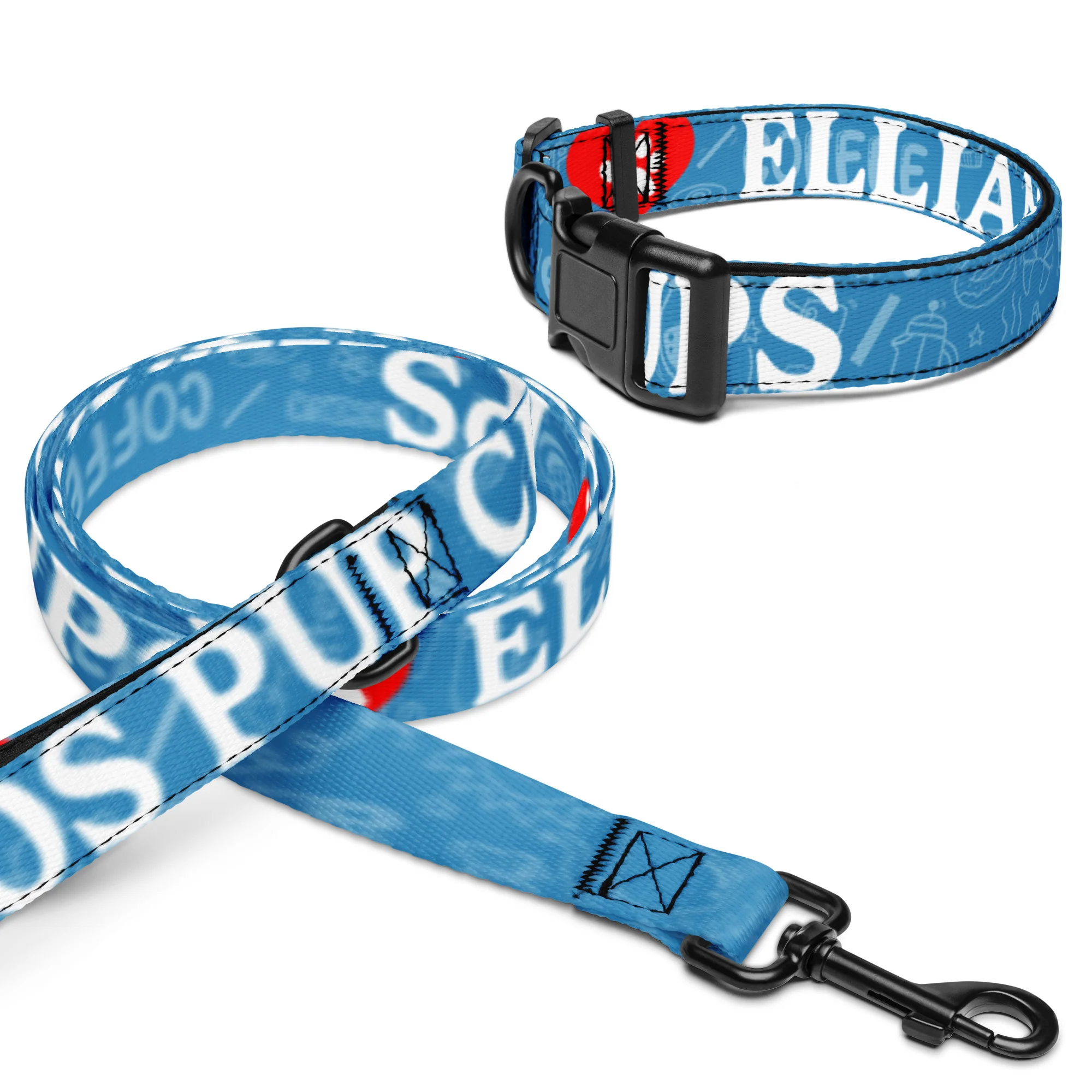 Pet collar & leash